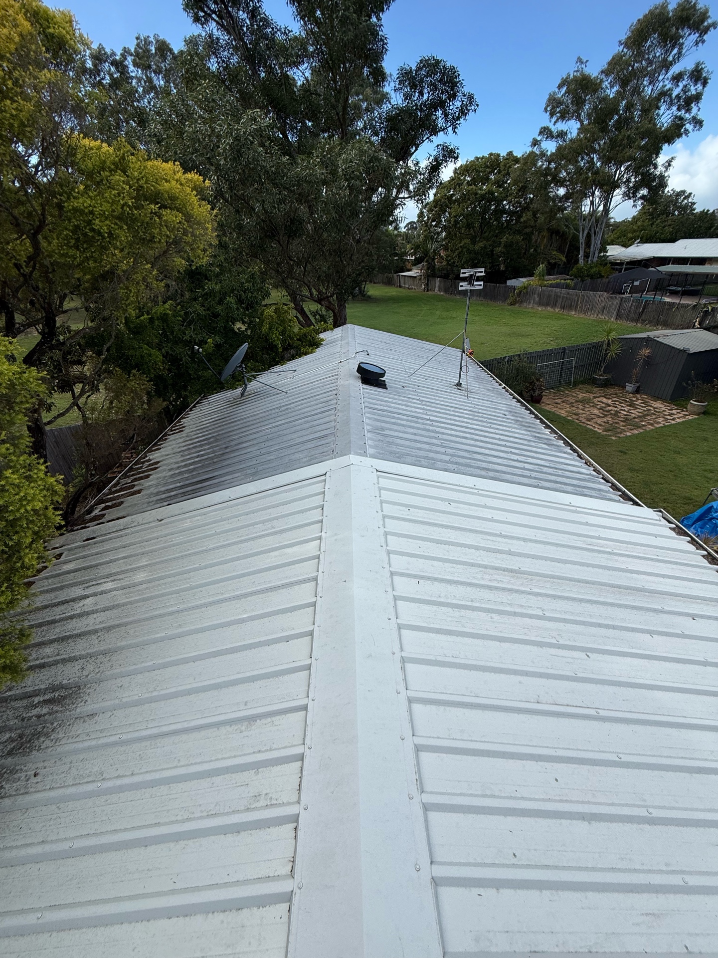 Roof Cleaning - Before