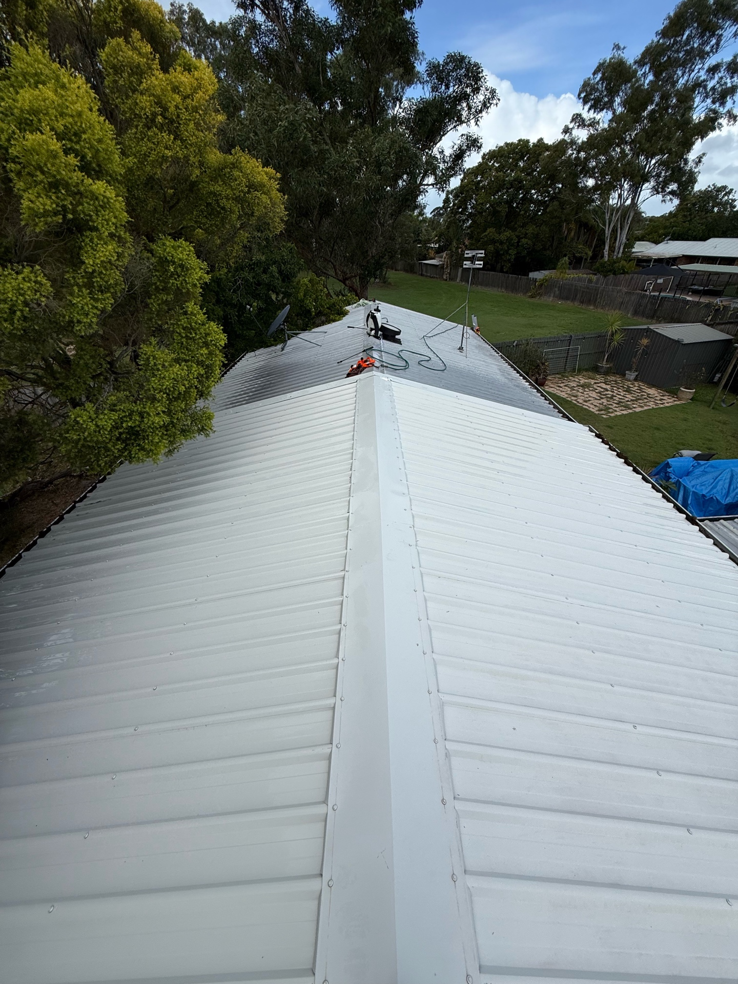 Roof Cleaning